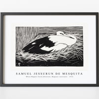 Samuel Jessurun De Mesquita - White Maguar Stork (Ooievaar, Magoear–ooievaar) (1914)