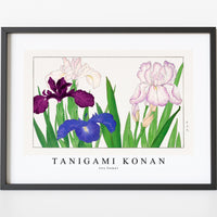 Tanigami Konan - Iris flower