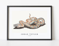 
              Johan Teyler - A snake
            