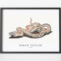 Johan Teyler - A snake