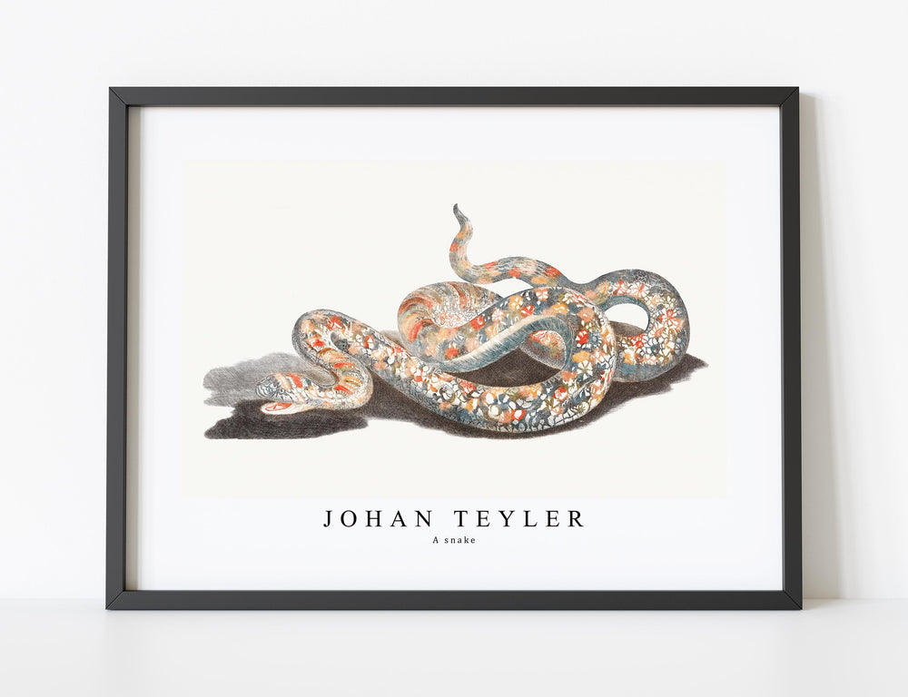 Johan Teyler - A snake