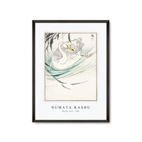 Numata Kashu - Wooper Swan illustration from Pictorial Monograph of Birds (1885)