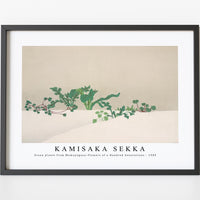 Kamisaka Sekka - Green plants from Momoyogusa–Flowers of a Hundred Generations (1909)