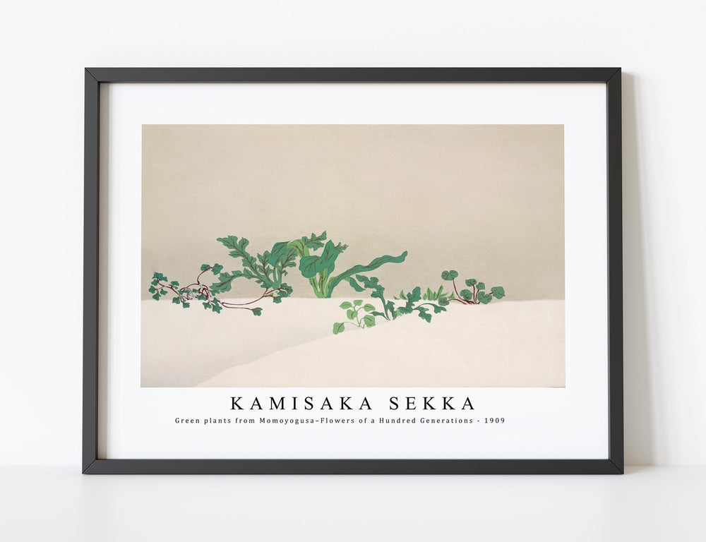 Kamisaka Sekka - Green plants from Momoyogusa–Flowers of a Hundred Generations (1909)