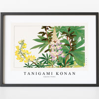 Tanigami Konan - Lupinus flower