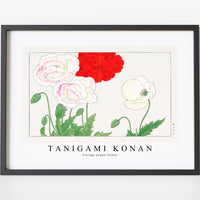 Tanigami Konan - Vintage poppy flower