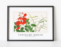
              Tanigami Konan - Erythrina & panicum flower
            