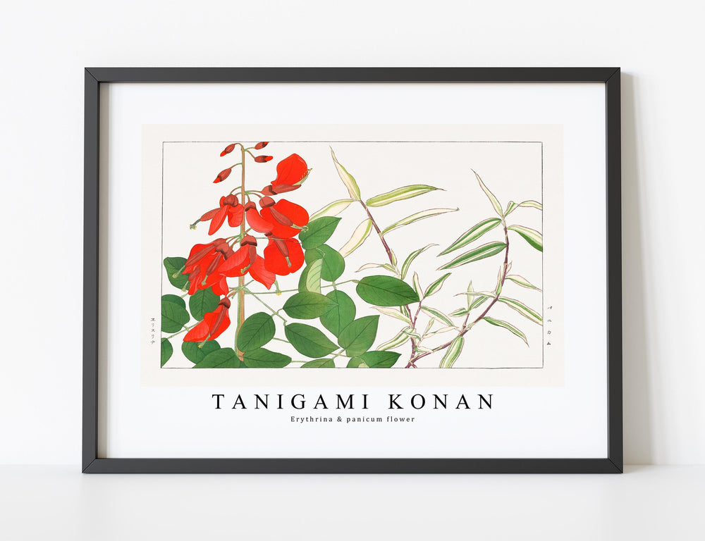 Tanigami Konan - Erythrina & panicum flower