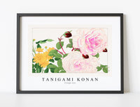 
              Tanigami Konan - Vintage rose
            