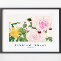 Tanigami Konan - Vintage rose