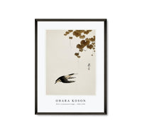 
              Ohara Koson - Bird in downward flight (1900 - 1930) by Ohara Koson (1877-1945)
            