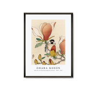 
              Ohara Koson - Sparrow on blooming magnolia branch (1900 - 1930) by Ohara Koson (1877-1945)
            