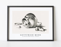 
              Gottfried Mind - cat and three newborn kittens by Gottfried Mind (1768-1814)
            