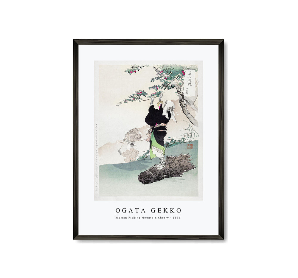 Ogata Gekko - Woman Picking Mountain Cherry (1896)