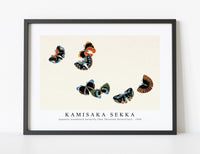
              Kamisaka Sekka - Japanese woodblock butterfly (One Thousand Butterflies) - 1904
            