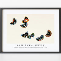 Kamisaka Sekka - Japanese woodblock butterfly (One Thousand Butterflies) - 1904