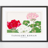 Tanigami Konan - Geranium flower