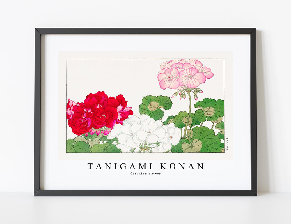 Tanigami Konan - Geranium flower