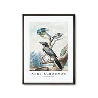 Aert schouman - Three birds-1756
