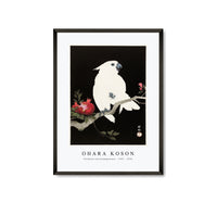 
              Ohara Koson - Cockatoo and pomegranate (1925 - 1936) by Ohara Koson (1877-1945)
            