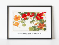 
              Tanigami Konan - Nasturtium flower
            