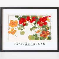 Tanigami Konan - Nasturtium flower