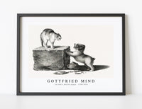 
              Gottfried Mind - Illustration of a domestic cat and a playful puppy by Gottfried Mind (1768-1814)
            