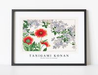 
              Tanigami Konan - Blanket flower & plumbago
            