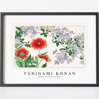 Tanigami Konan - Blanket flower & plumbago