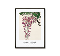 
              Ohara Koson - Blooming wisteria (1900 - 1930) by Ohara Koson(1877-1945)
            