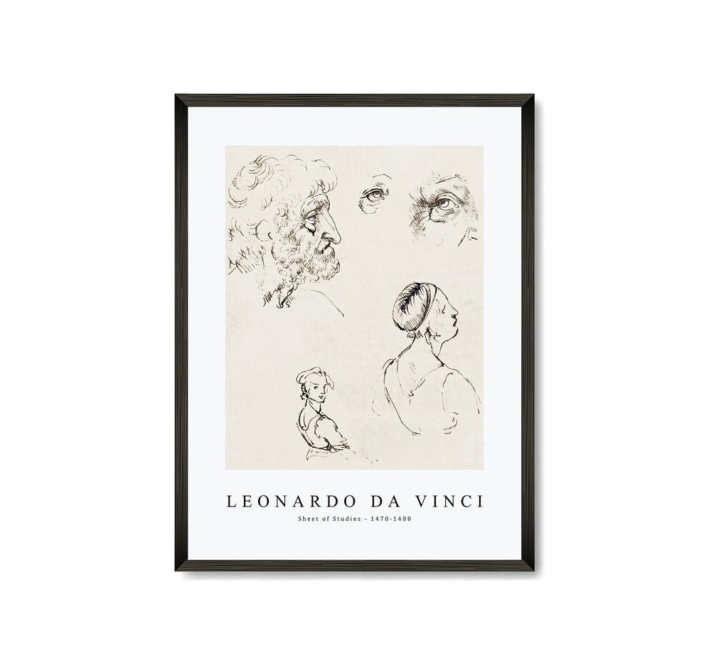 Leonardo Da Vinci - Sheet of Studies 1470-1480