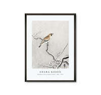 
              Ohara Koson - Bohemian bird on snowy branch (1900 - 1930) by Ohara Koson (1877-1945)
            