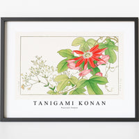 Tanigami Konan - Passion flower