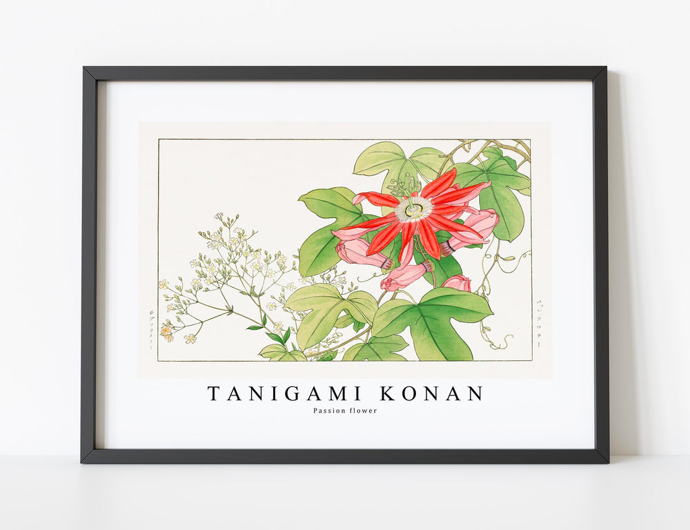 Tanigami Konan - Passion flower