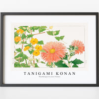 Tanigami Konan - Thunbergia & aster flower