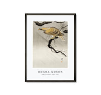 
              Ohara Koson - Eagle on branch (1900 - 1910) by Ohara Koson (1877-1945)
            