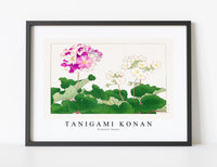 
              Tanigami Konan - Primrose flower
            