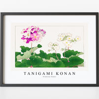 Tanigami Konan - Primrose flower