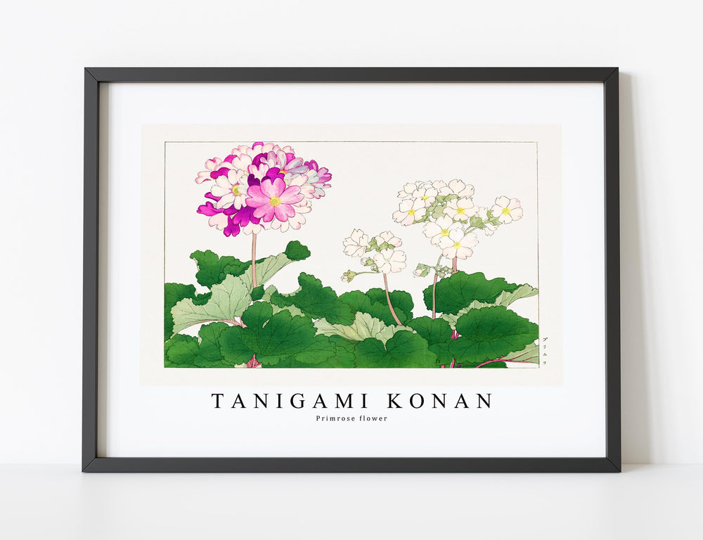 Tanigami Konan - Primrose flower