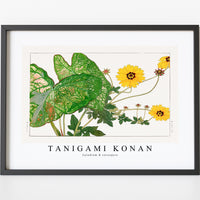 Tanigami Konan - Caladium & coreopsis