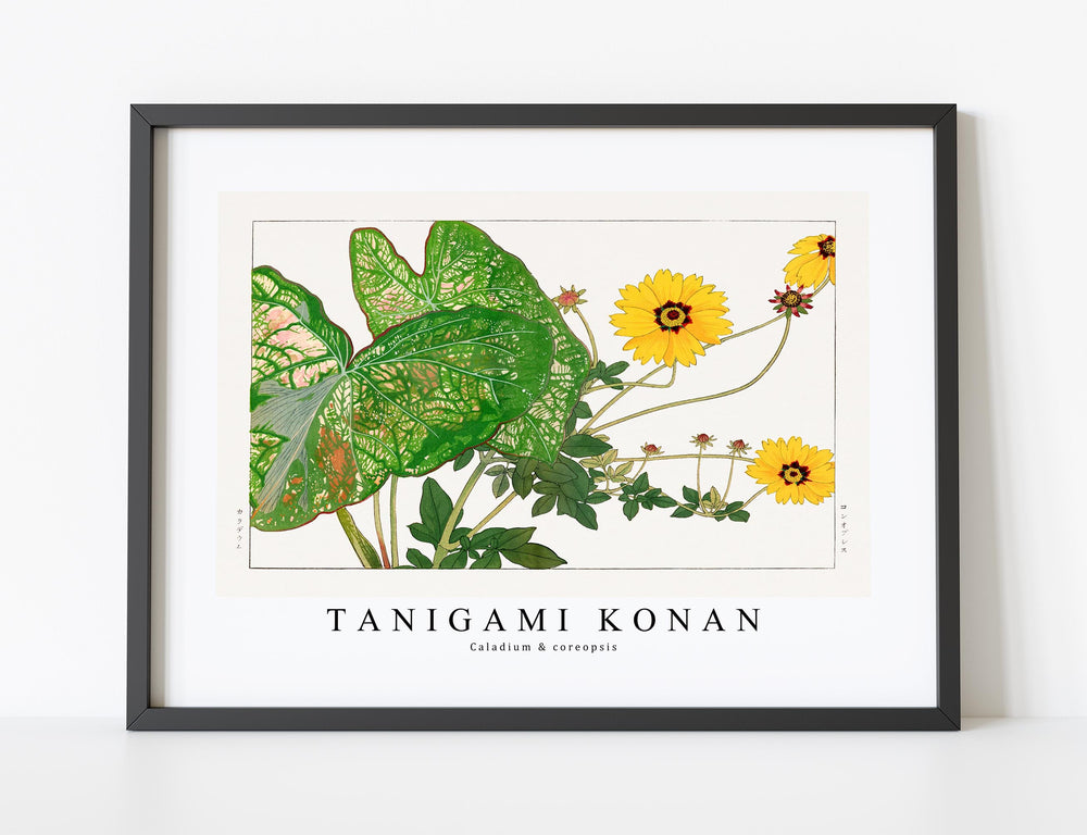 Tanigami Konan - Caladium & coreopsis