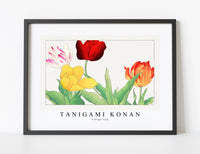 
              Tanigami Konan - Vintage tulip
            