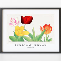 Tanigami Konan - Vintage tulip