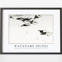 Watanabe Seitei - Flying magpies, illustration from Seitei Kacho Gafu 1890-1891