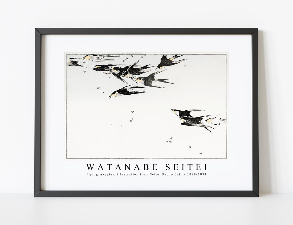 Watanabe Seitei - Flying magpies, illustration from Seitei Kacho Gafu 1890-1891