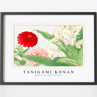 Tanigami Konan - Zinnia & white ginger lily flower