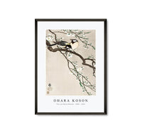
              Ohara Koson - Tits on Cherry Branch (1900 - 1910) by Ohara Koson (1877-1945)
            