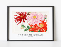 
              Tanigami Konan - Dahlia flower
            