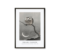 
              Ohara Koson - Long-eared owl on bare tree branch (1900 - 1930)
            
