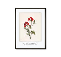 
              M. de Gijselaar - Red flower by M. de Gijselaar (1830)
            